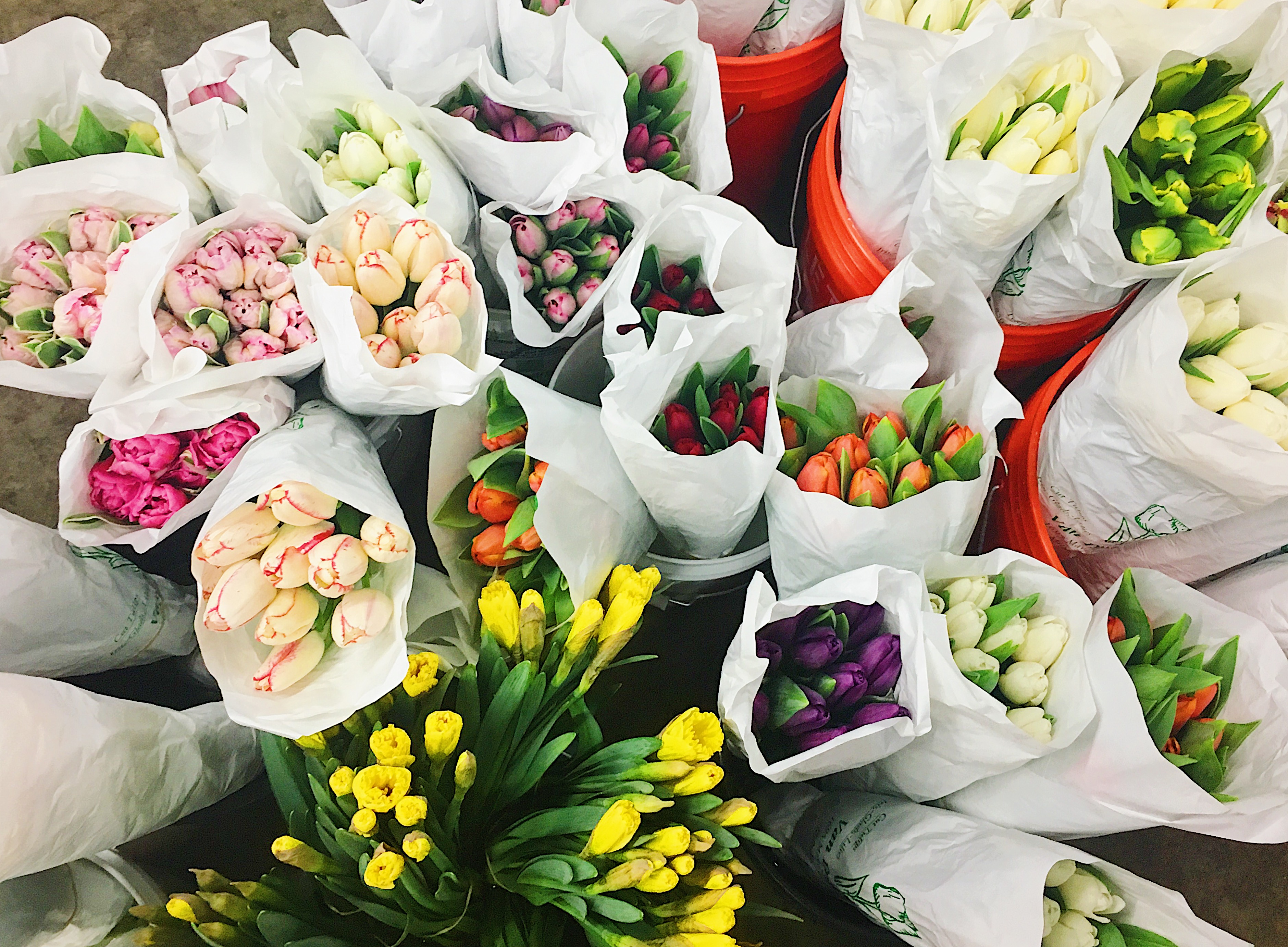 tulip flower crowns .jpg