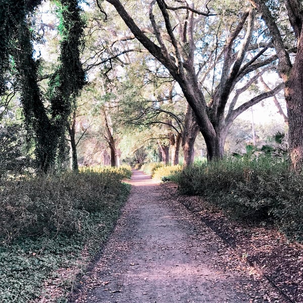 Charleston parks
