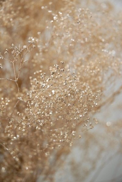 gold flower crown 