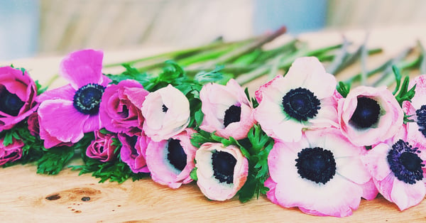 flower crown bachelorette party atlanta 