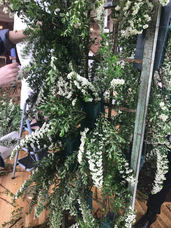 floral arch 