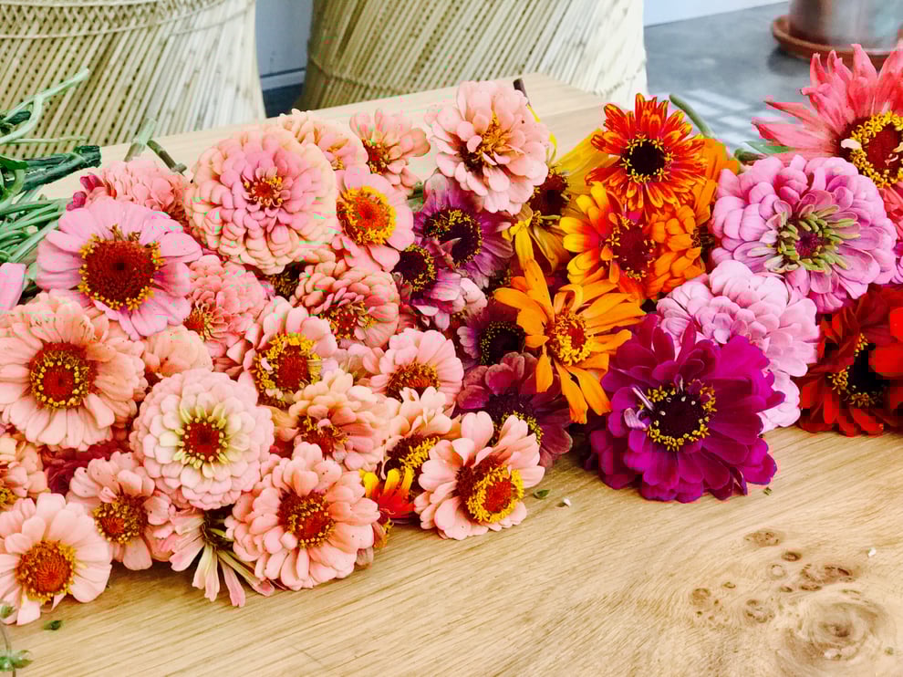 zinnias flower crowns zinnias flower crowns