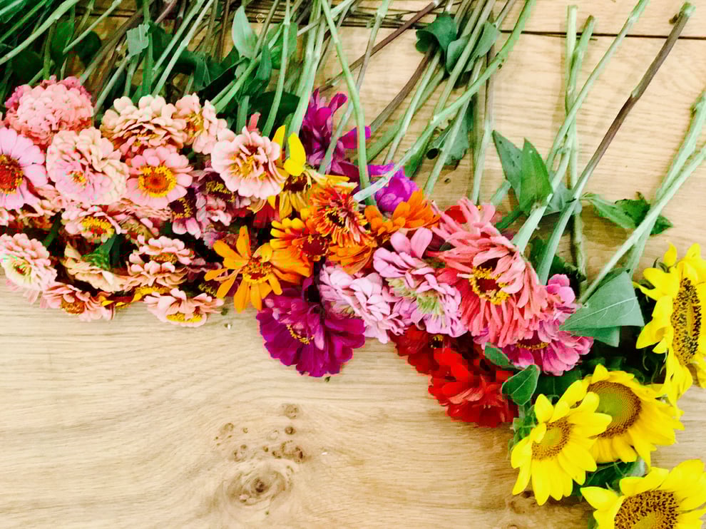 South Carolina Flower Farmers South Carolina Flower Farmers