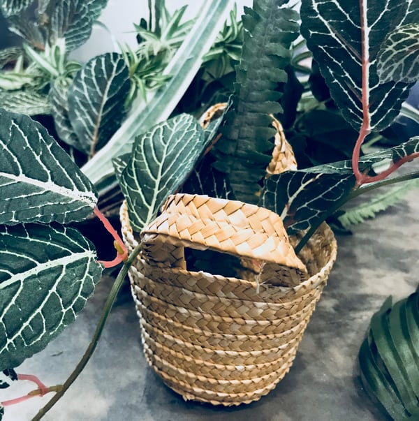 diy indoor wall planters