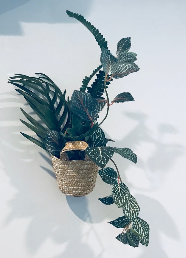 straw baskets for plants