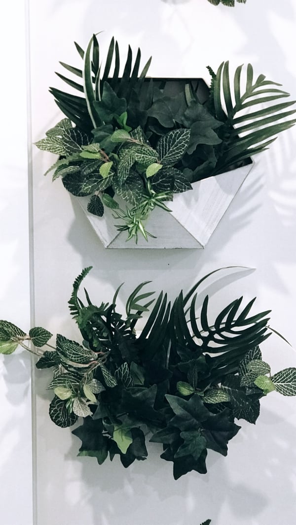 indoor wall planters 