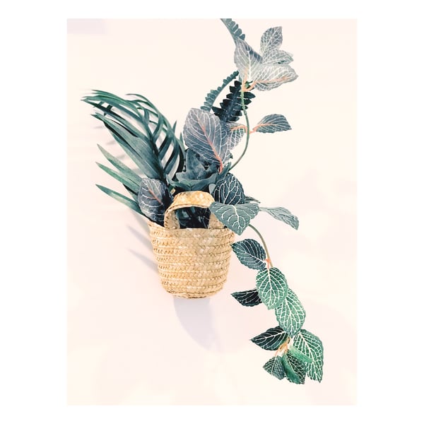 baskets for plants