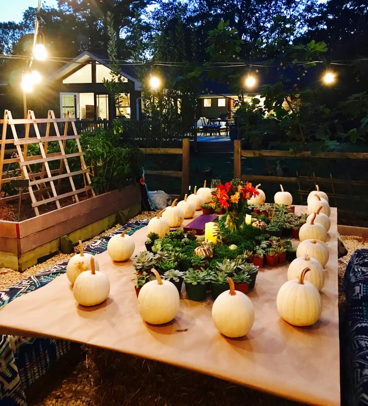 pumpkin succulent making centerpieces 