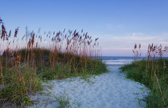 isle of palms beach vacation ideas 