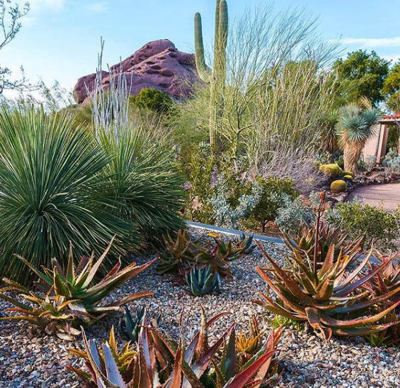 The Hiking Bachelorette Party is Getting Outdoorsy for their Scottsdale ...