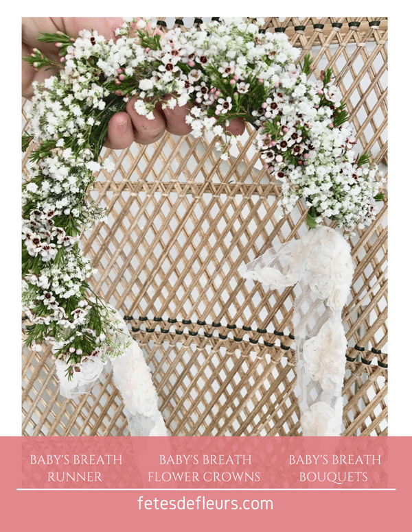 babys breath flower options 