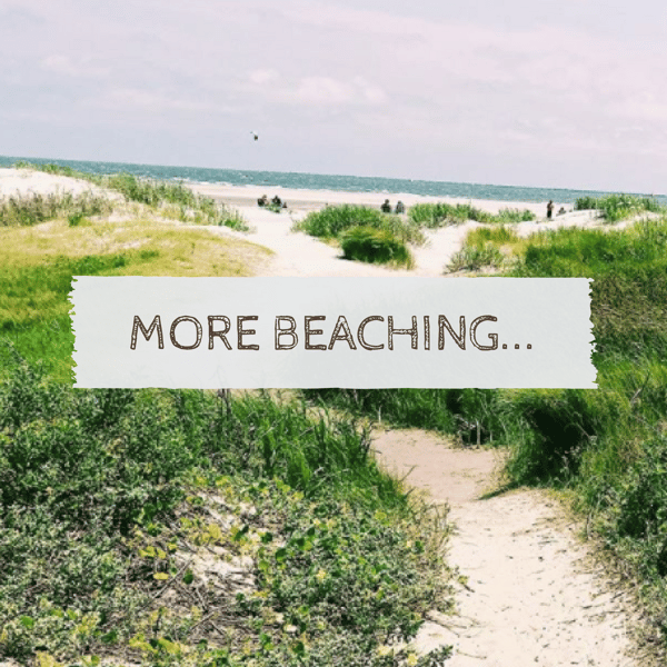 charleston beaches