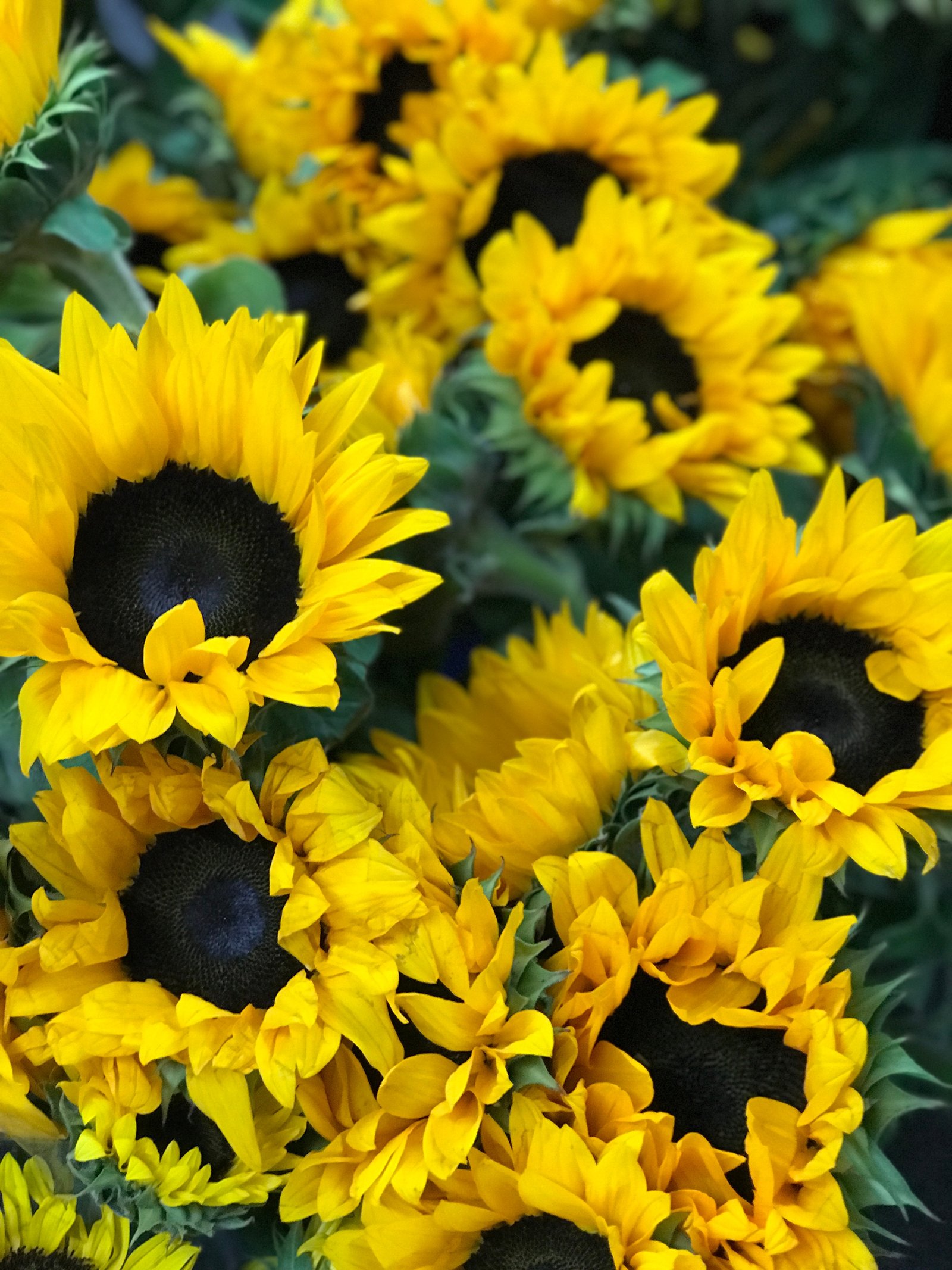 flower crown making parties