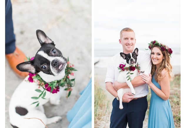 flower crown for dogs 