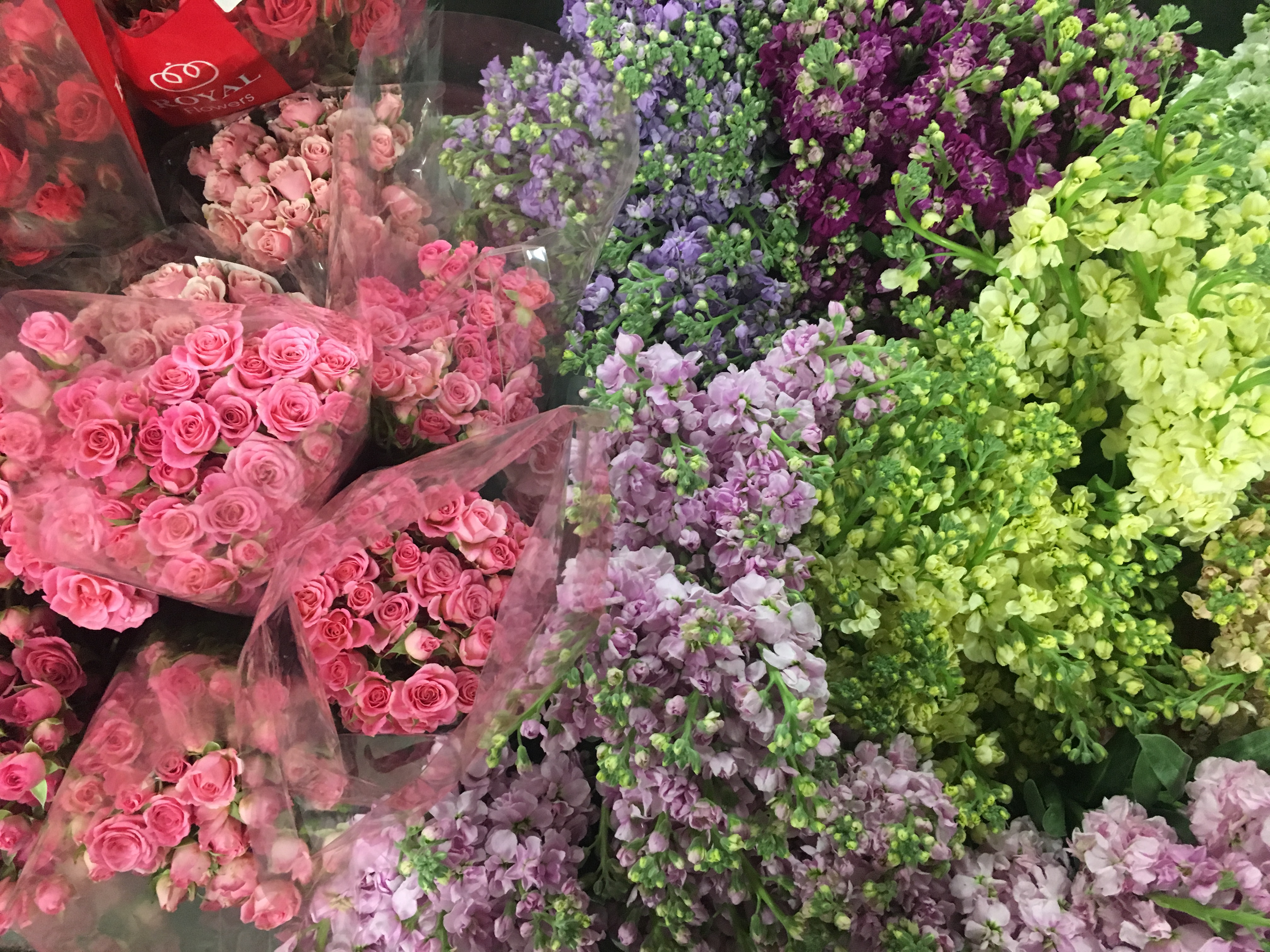 Floral parties -3
