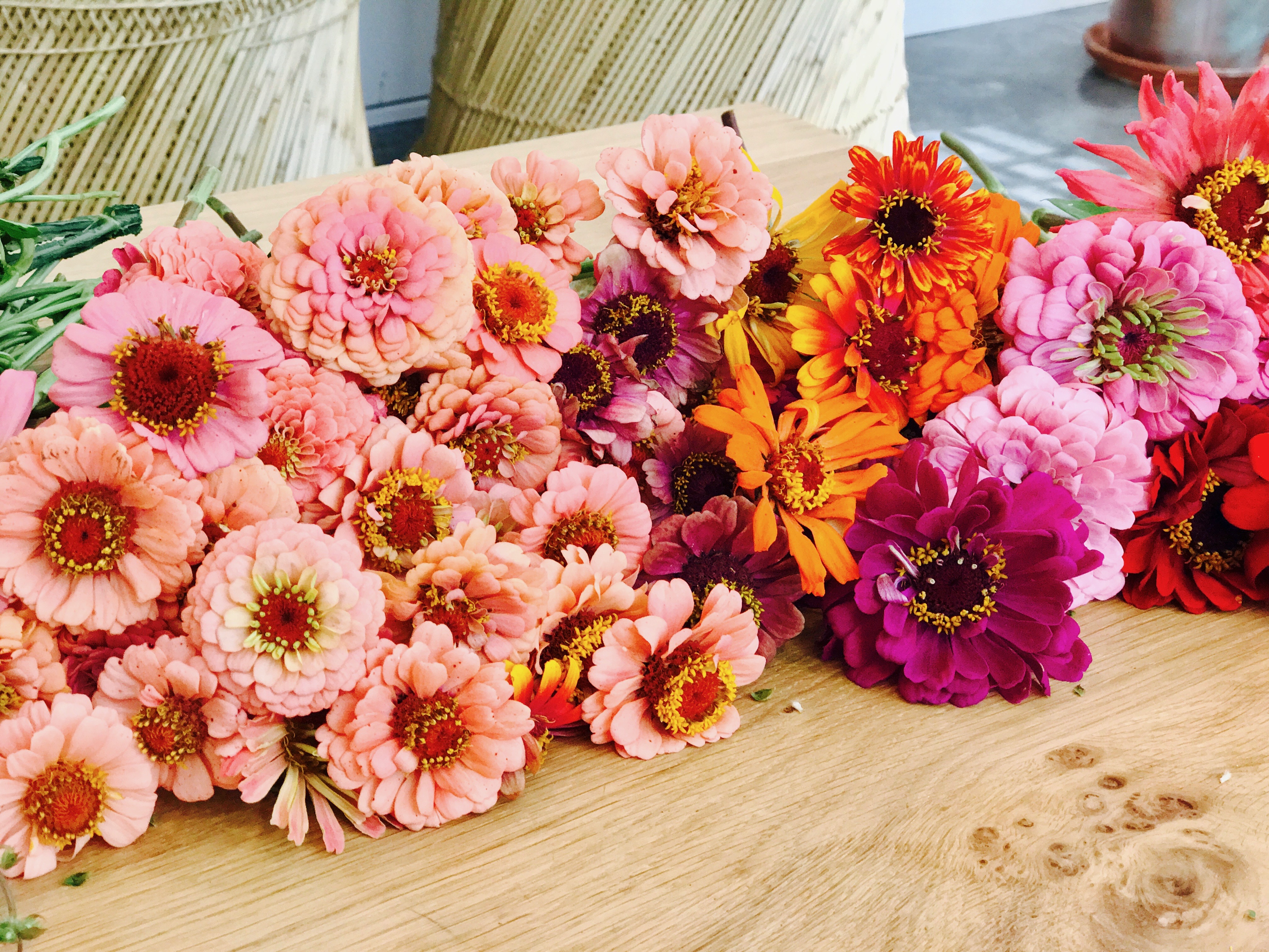 zinnias flower crowns