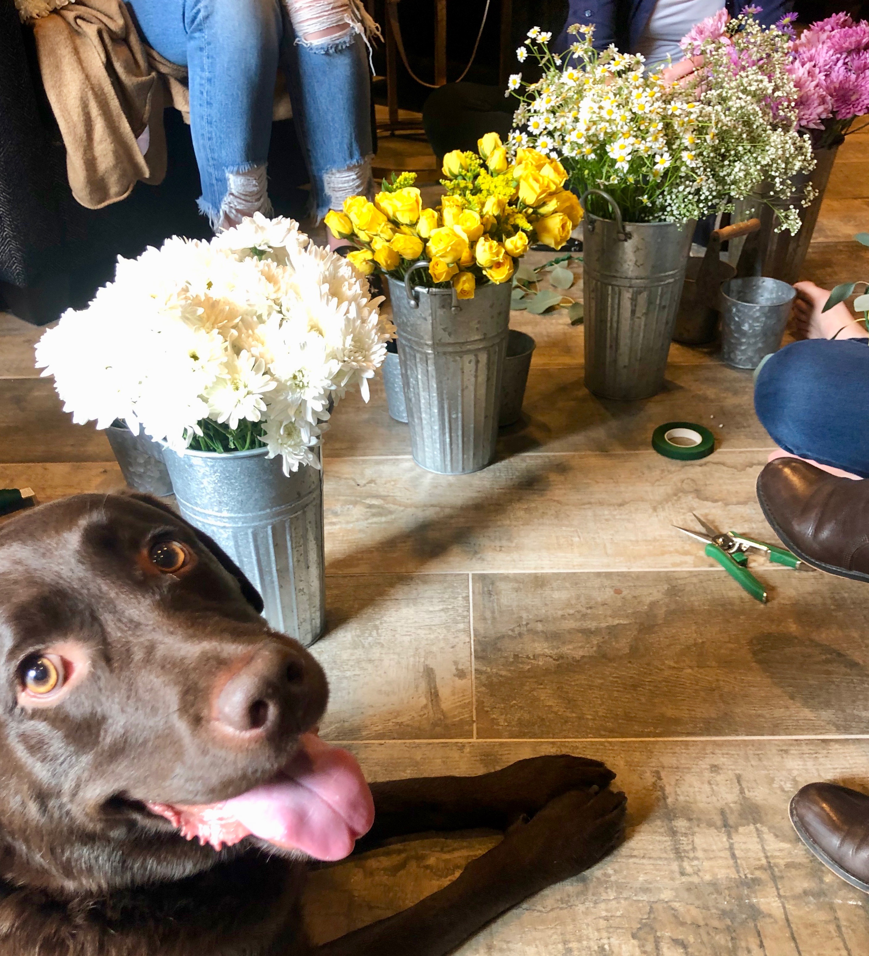 dallas flower crown workshop
