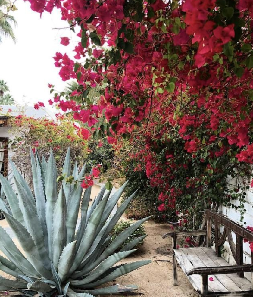 where to stay for a palm springs bachelorette party weekend