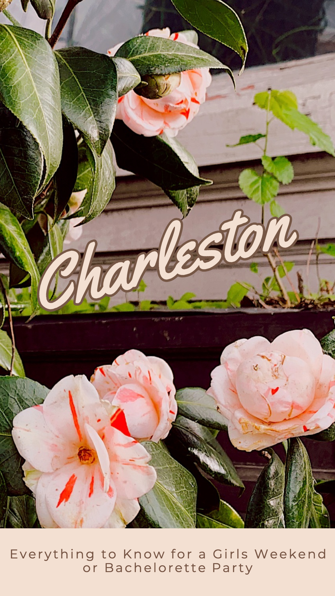 charleston- everything to know for a girls weekend or bachelorette party 