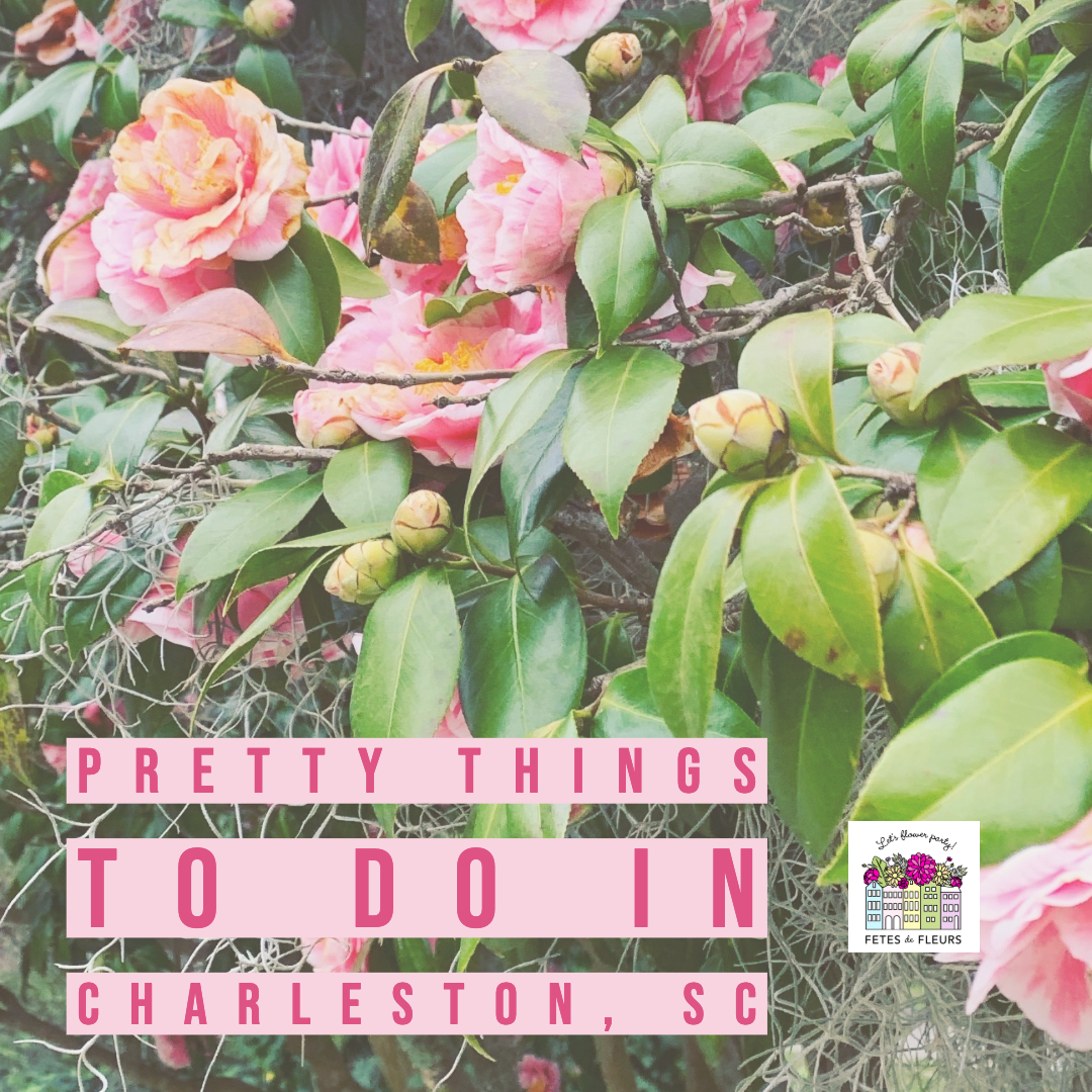 pretty things to do in charleston, sc